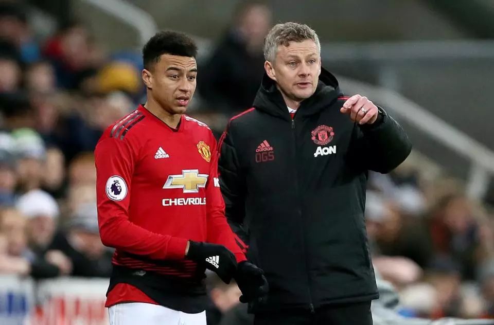 在各项赛事 在各项赛事